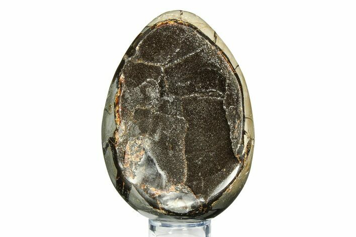 Septarian Dragon Egg Geode - Sparkly Black Crystals #308830